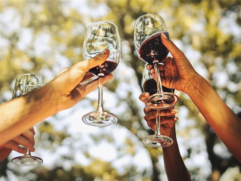 Der beste Weinversand für Rotweine: Unsere Top-Tipps