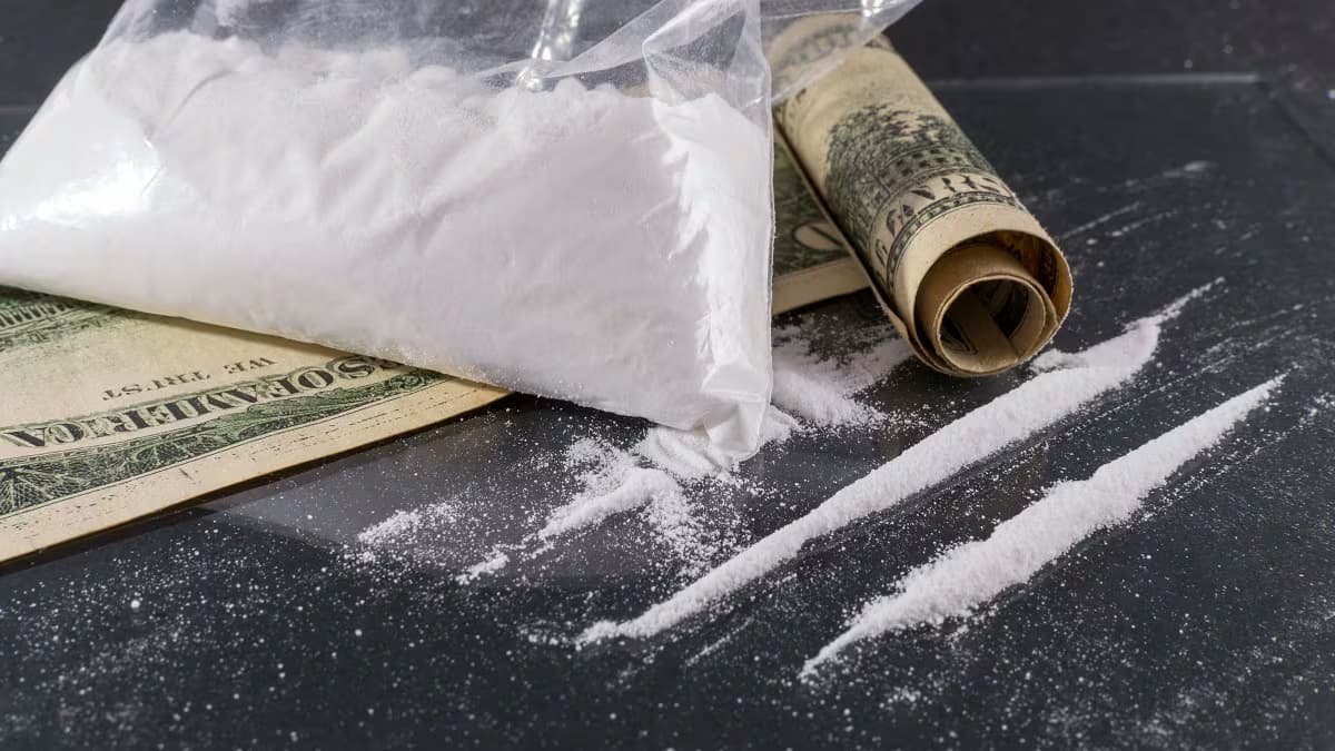 Exploring Hamburg's Nightlife: Where to Safely Buy Cocaine Hamburg online for a Memorable Experience