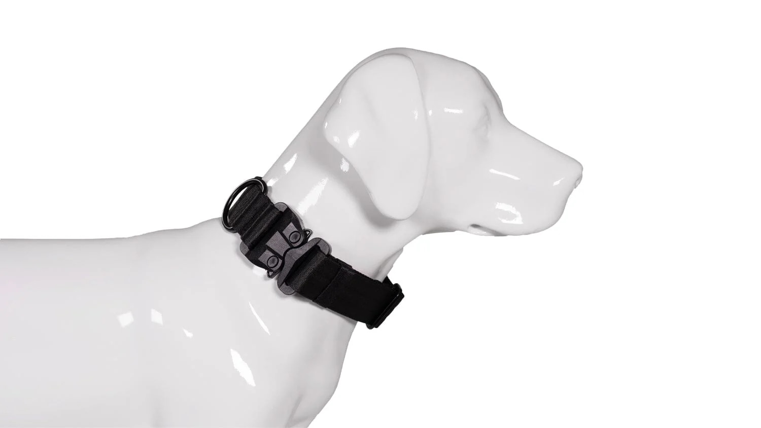 Hundehalsband mit Griff: Sicherheit und Kontrolle für Ihren Hund