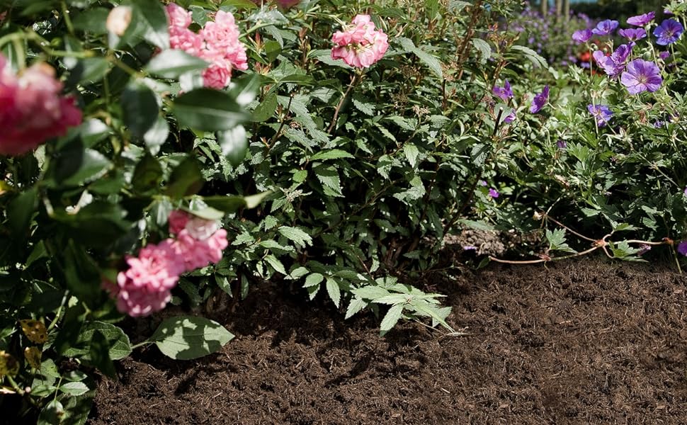 Natürliche Schönheit: Entdecke die Vielfalt von Gartenfaser