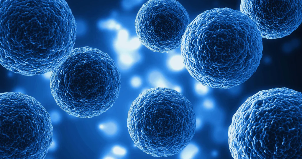 Exosome Wirkung erklärt: Wie natürliche Zellbotenstoffe Kollagenbildung aktivieren und die Hautregeneration fördern