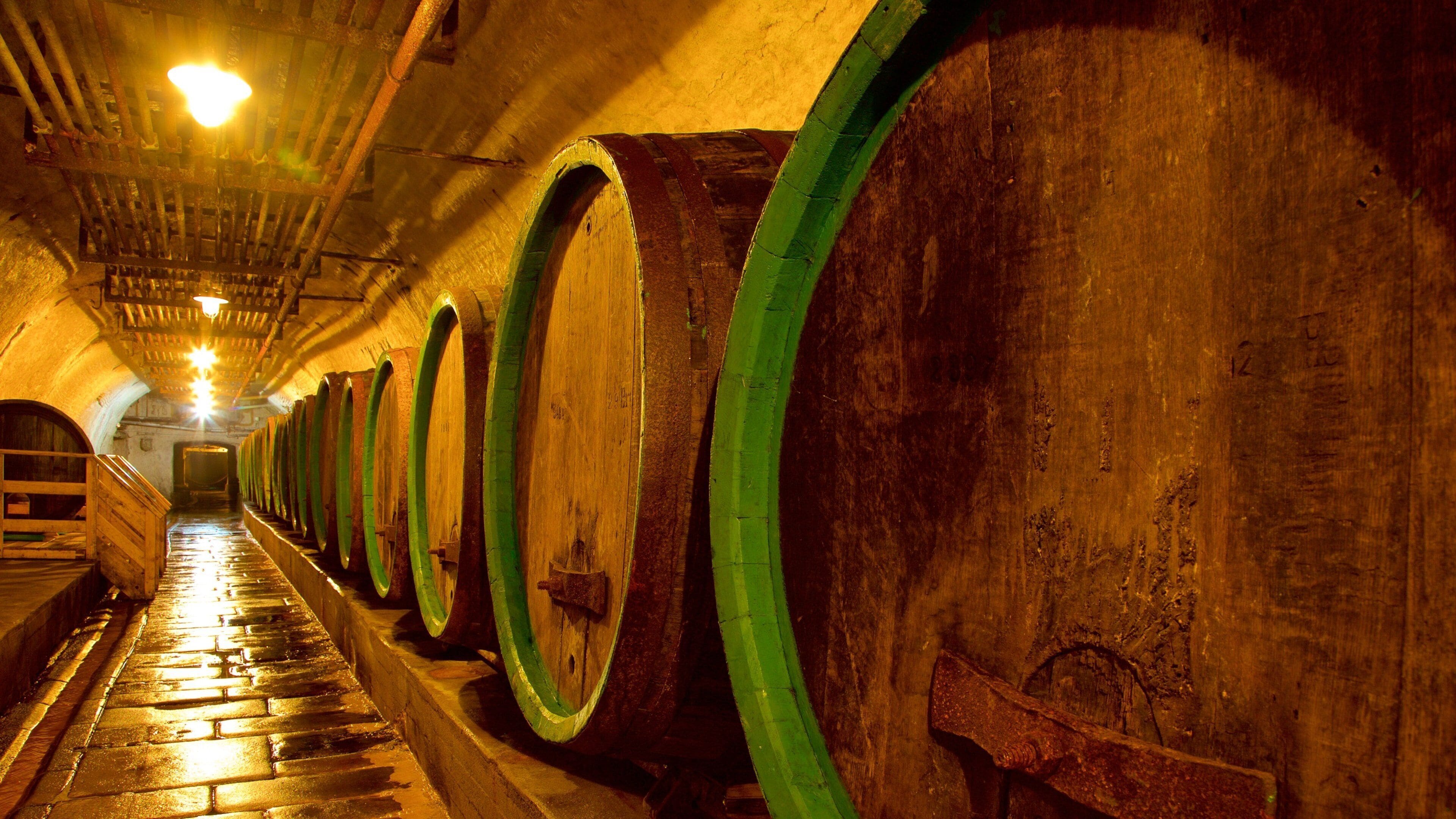 Authentisch, gesellig, einzigartig – Ihre Beer Tour Pilsen in 60 Minuten