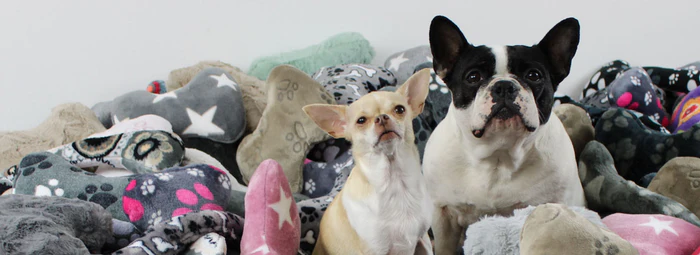 Zeitloses Design trifft auf höchsten Komfort: Entdecke unseren AirleXX für Hunde!