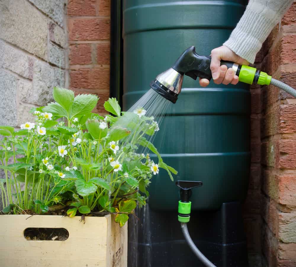 All4Water: Qualität und Service für Ihre Regenwasserlösungen