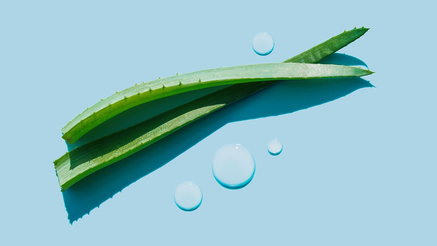 Verbessern Sie Ihre Schönheitsroutine mit Forever Living Aloe Vera