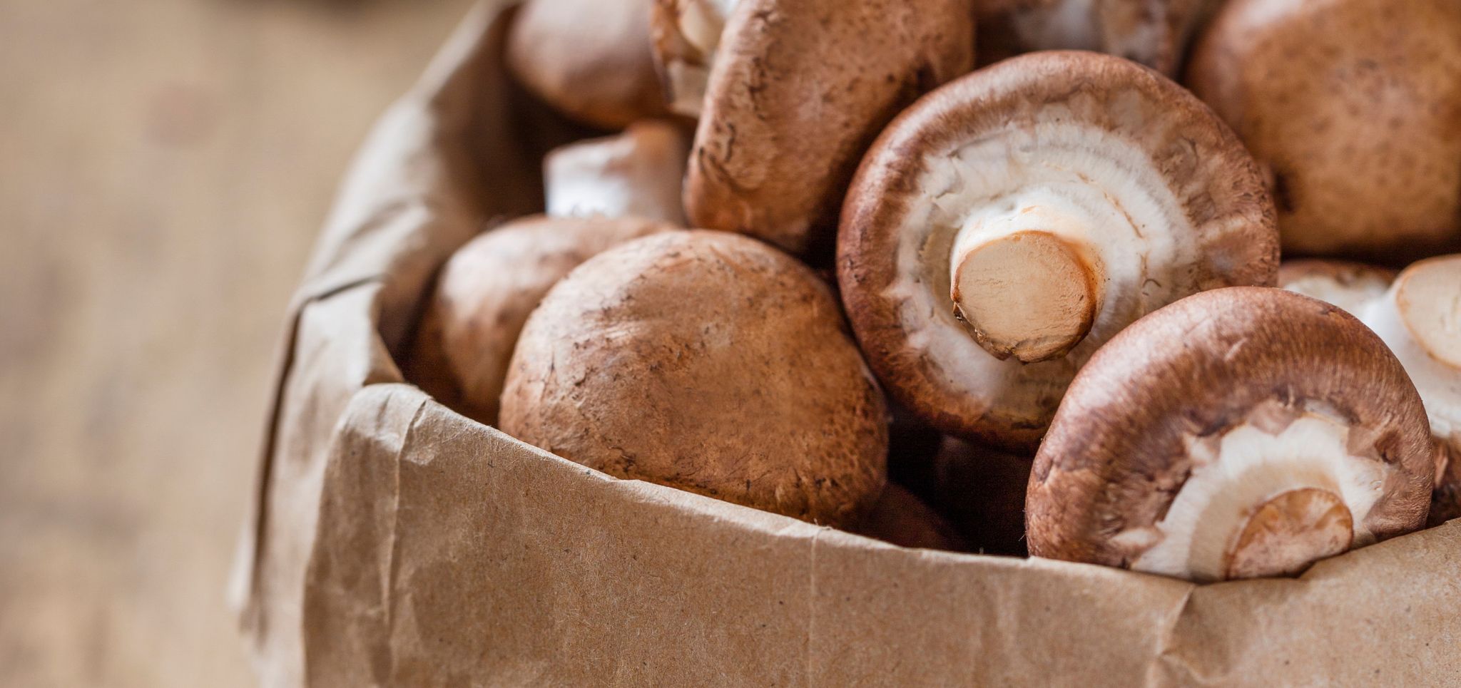 Frische Pilze im Fokus: Handelsangebot trifft Kundenbedürfnisse