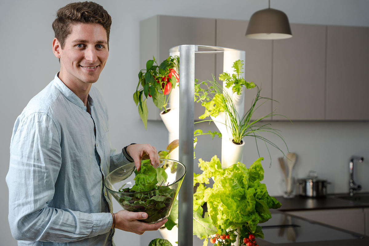 Nachhaltiger Indoor-Garten: Pflanzenpflege mit Verantwortung