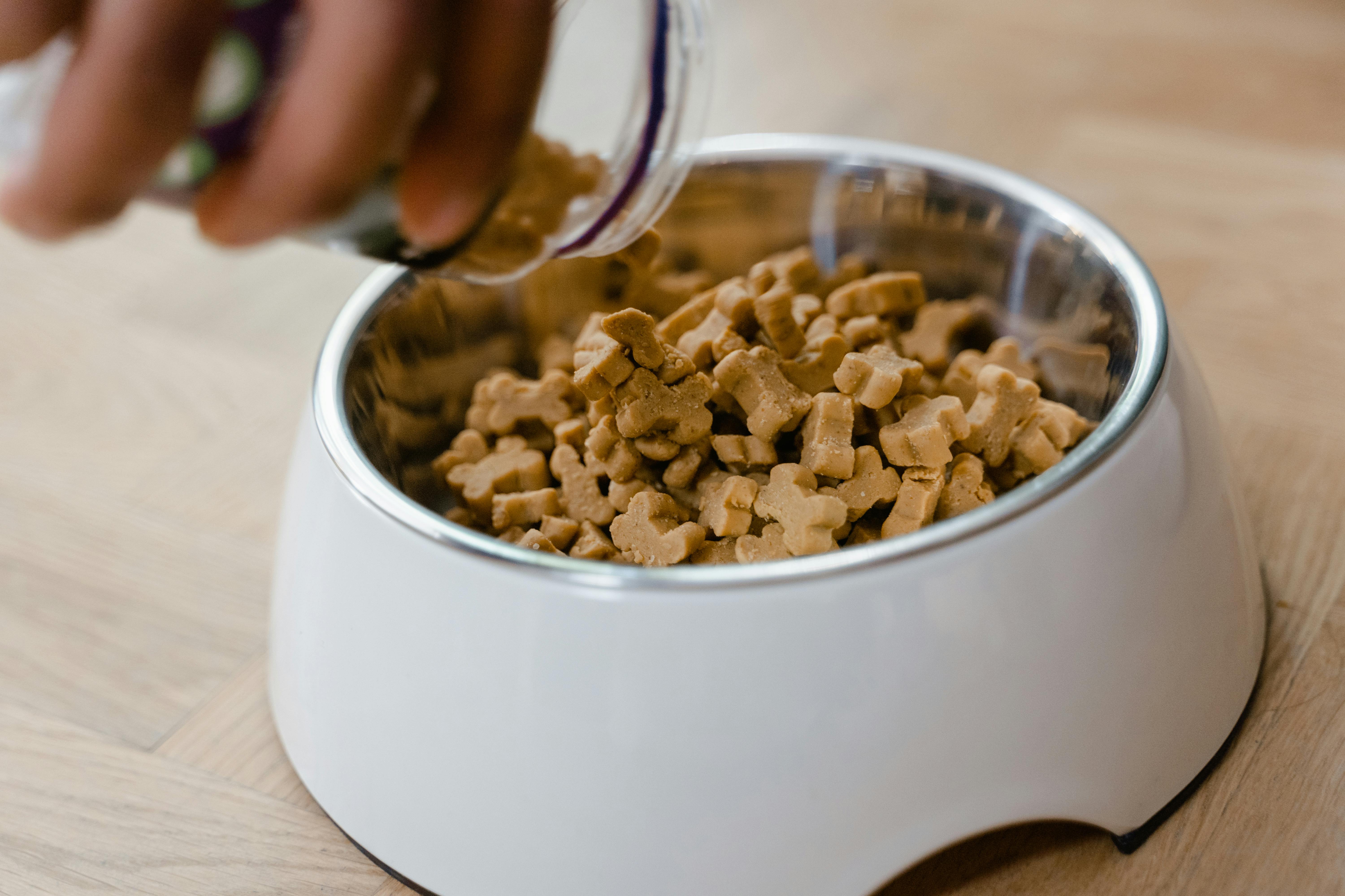 ollie dog food complaints