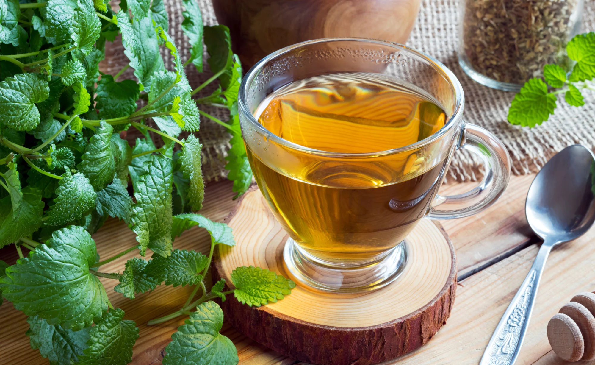 Zistrosentee: Ein Kraftvolles Naturheilmittel für Ihre Gesundheit